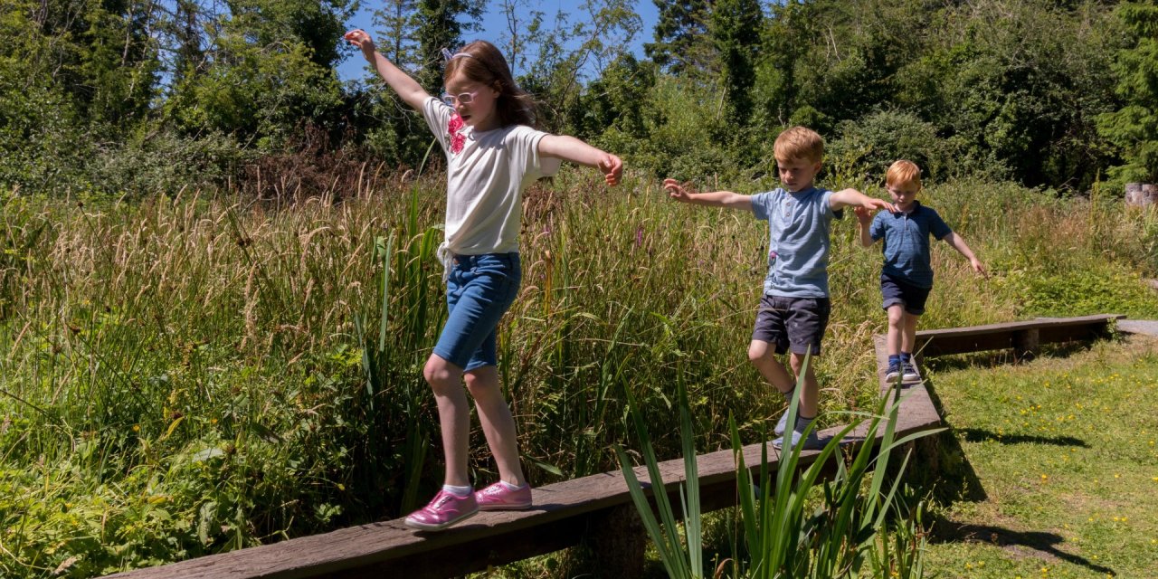 Summer Activites in County Down
