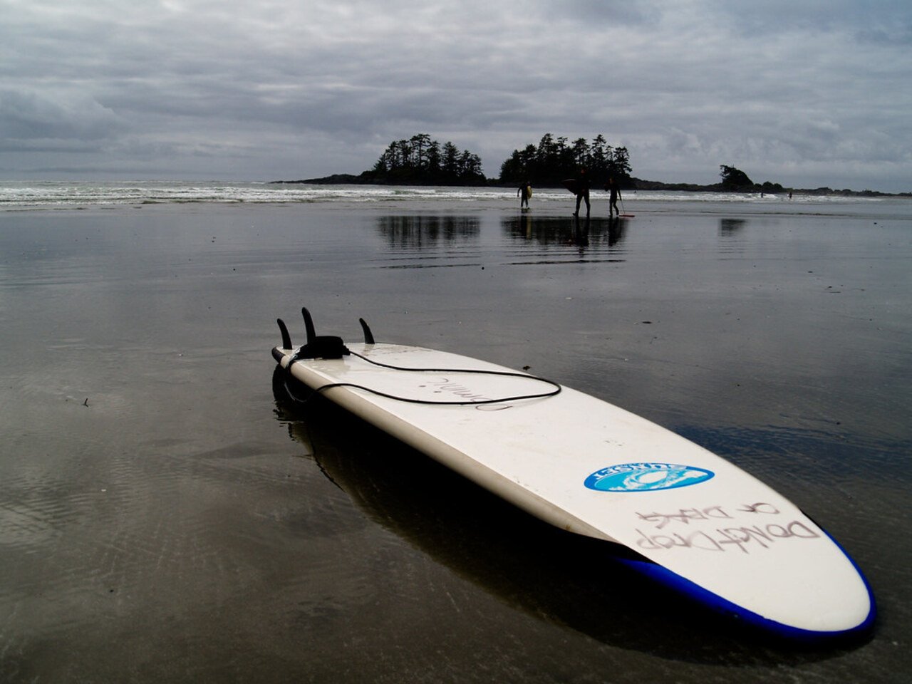 surfboard on ground water trees in horizon blue details on surfboard