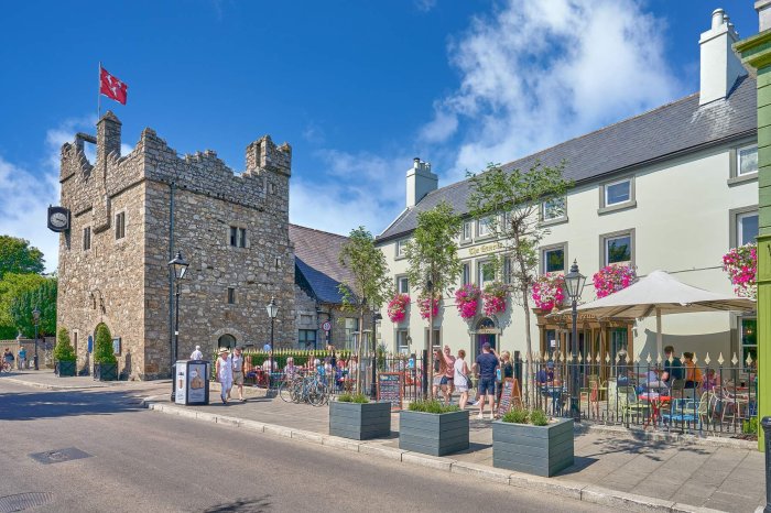 dalkey castle, co. dublin