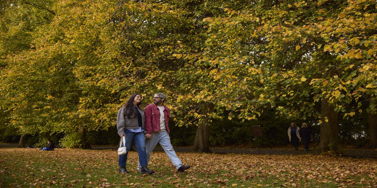 orange/brown/leaves/couple/walking/smiling/happy/date/bluejeans/redjumper
