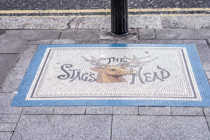 the stags head pavement logo