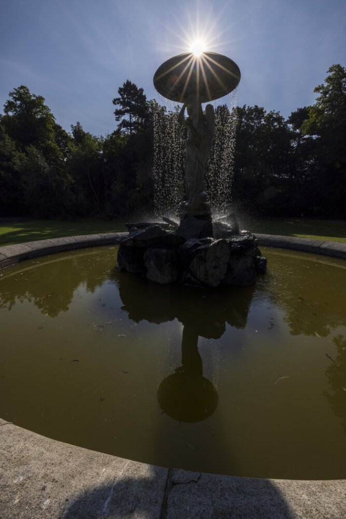 Iveagh Gardens 