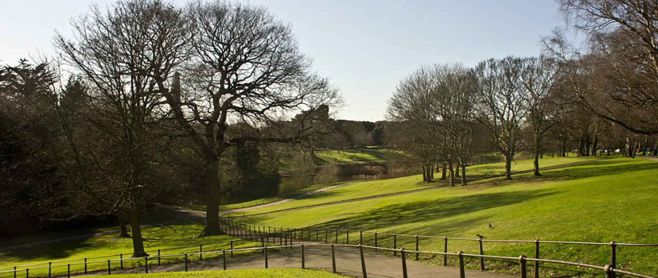 park with trees and path in Dublin Ireland