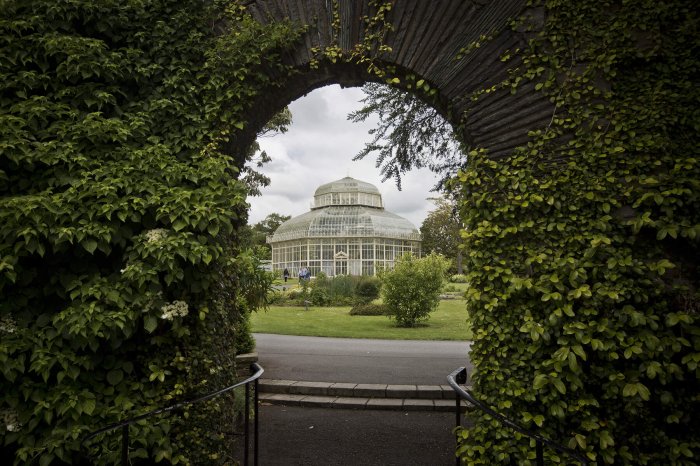 botanic gardens, dublin city attraction