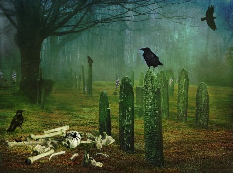 Image of graveyard with birds
