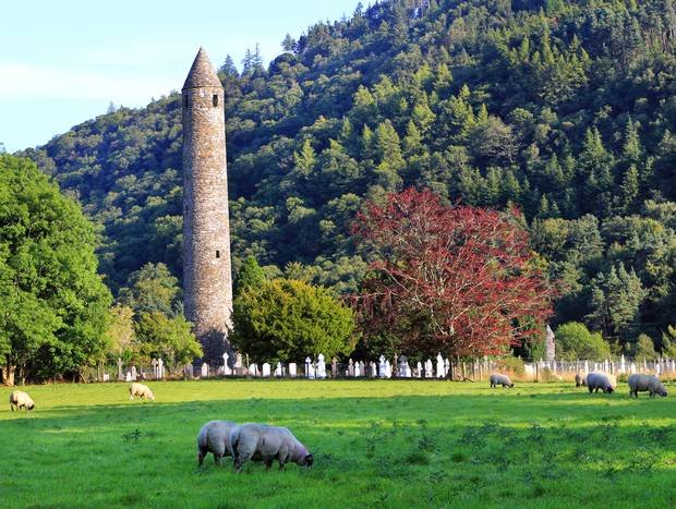 Round Tower at Glendalough with sheep grazing in foreground