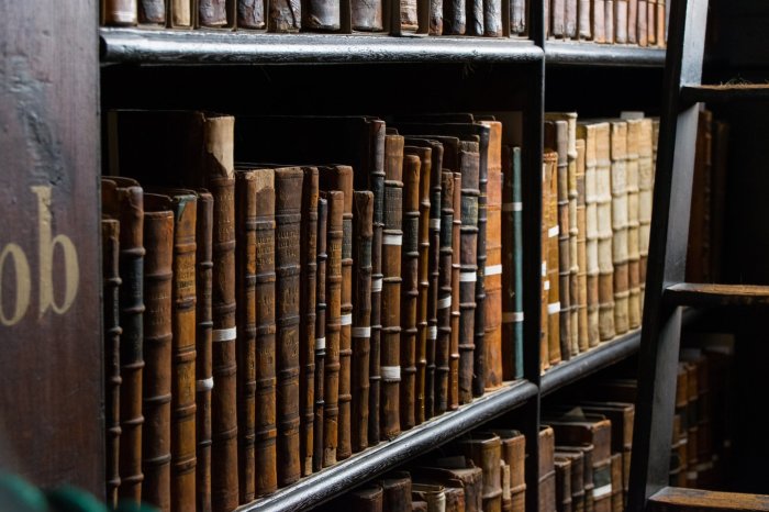Long Hall Library by Thomas Bormans Reserved books at trinity college
