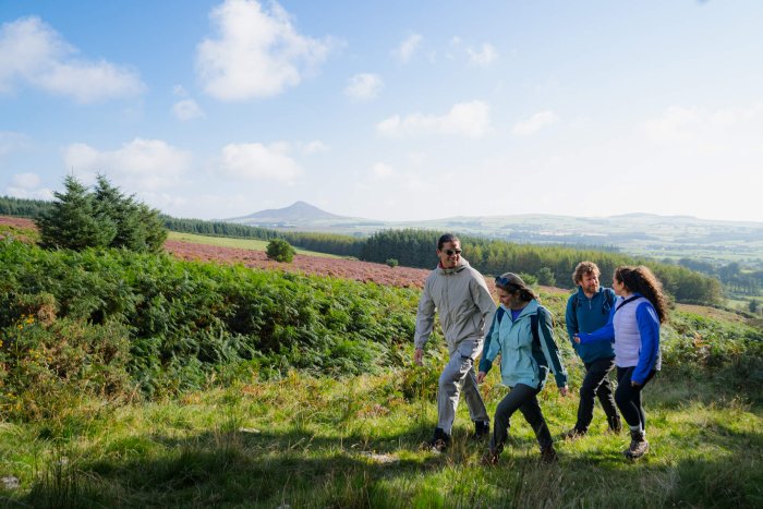 DjouWicklow Mountains, Co Wicklow, Big Style Media, Courtesy Failte Ireland group walking through wicklow mountains