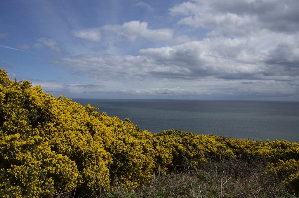 view of howth from cliffs