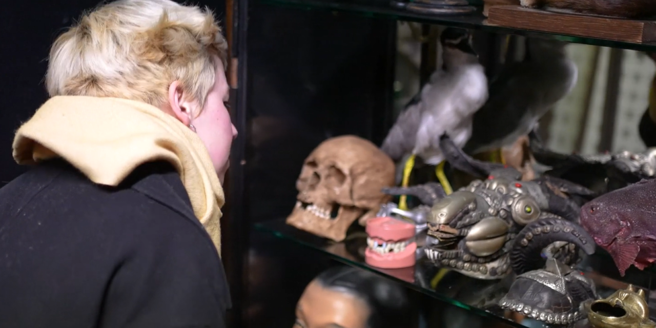 blonde woman looking at table of old relics that include a skull, fake teeth and metal