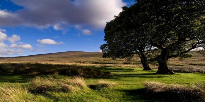 Newgrange Day Tours wicklow mountains greenery