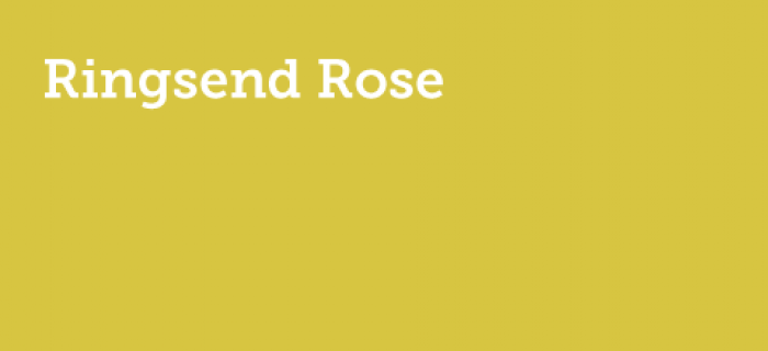 Ringsend Rose